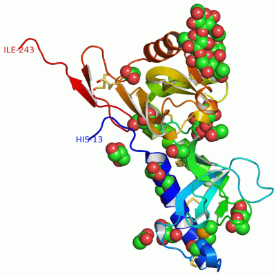 Image Asym./Biol. Unit - manually