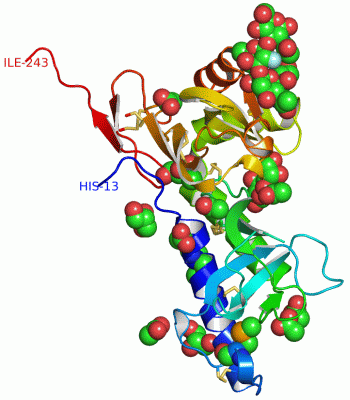 Image Asym./Biol. Unit - manually