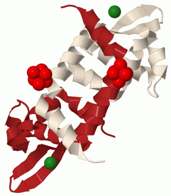 Image Biol.Unit 1 - manually