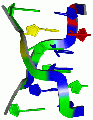 Image Asym./Biol. Unit - manually