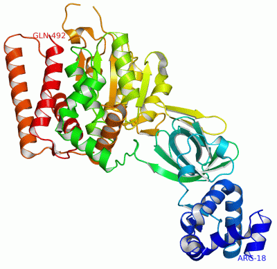 Image Asym./Biol. Unit - manually