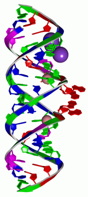 Image Asym./Biol. Unit - manually