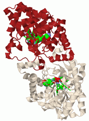 Image Biol.Unit 1 - manually