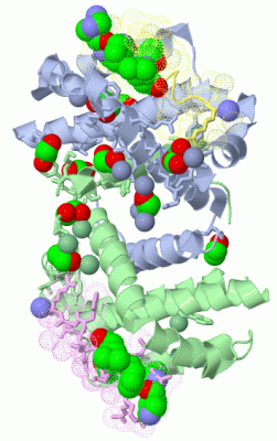 Image Biol.Unit 1 - manually