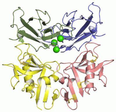 Image Asym./Biol. Unit - manually