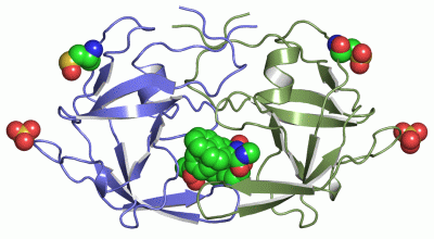 Image Asym./Biol. Unit - manually