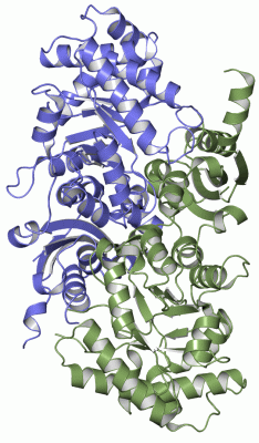 Image Asym./Biol. Unit - manually