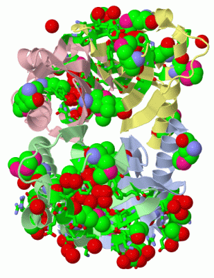 Image Asym./Biol. Unit - manually