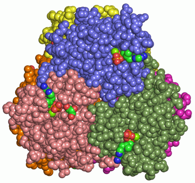 Image Asym./Biol. Unit - manually