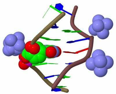 Image Biol.Unit 1 - manually