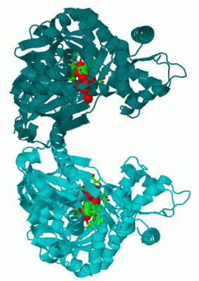 Image Asym./Biol. Unit - manually