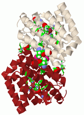 Image Biol.Unit 1 - manually