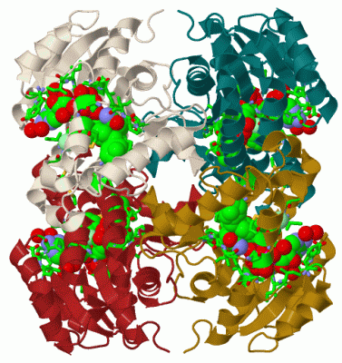 Image Biol.Unit 1 - manually