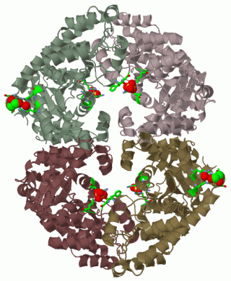 Image Biol.Unit 1 - manually