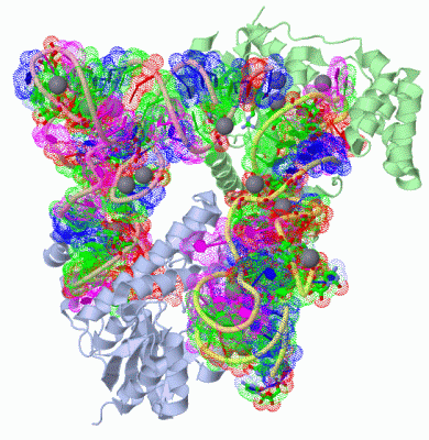 Image Asym./Biol. Unit - manually