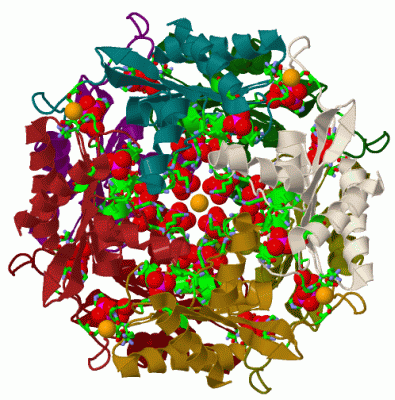 Image Biol.Unit 1 - manually