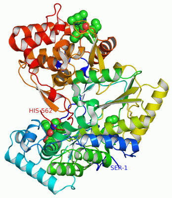 Image Asym./Biol. Unit - manually