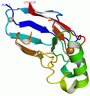 Image Asym./Biol. Unit - manually