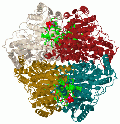 Image Biol.Unit 1 - manually