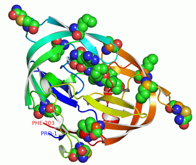 Image Asym./Biol. Unit - manually