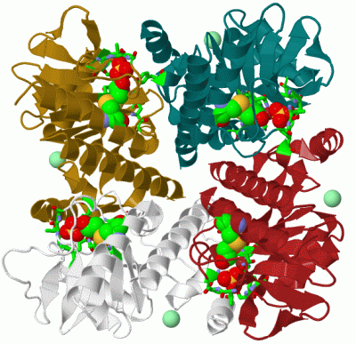 Image Biol.Unit 1 - manually