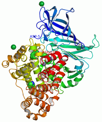 Image Asym./Biol. Unit - manually