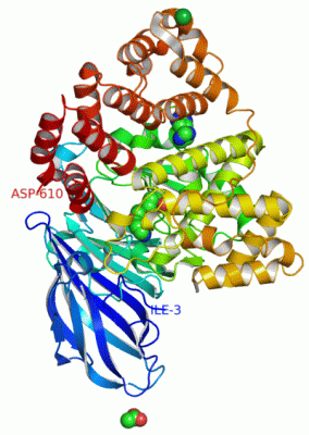 Image Asym./Biol. Unit - manually