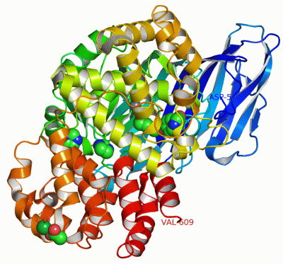 Image Asym./Biol. Unit - manually