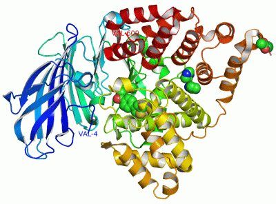 Image Asym./Biol. Unit - manually