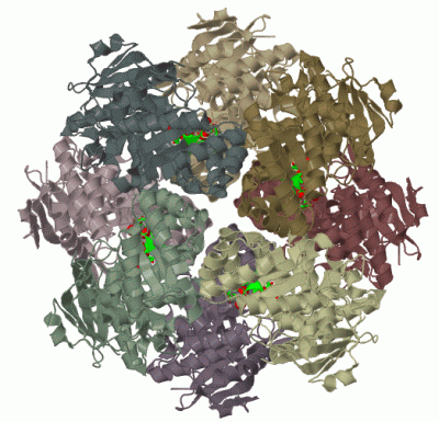 Image Biol.Unit 1 - manually