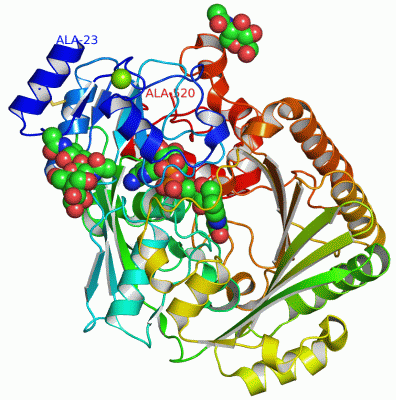 Image Asym./Biol. Unit - manually