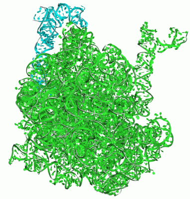 Image Asym./Biol. Unit - manually