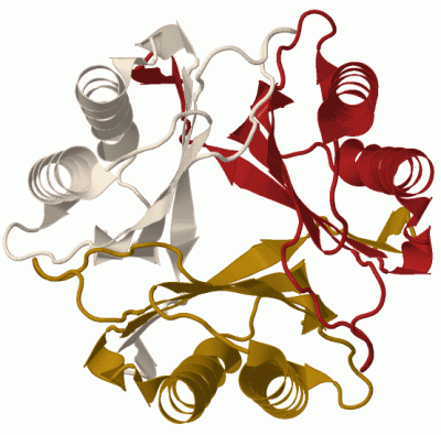 Image Biol.Unit 1 - manually