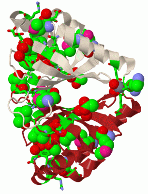 Image Biol.Unit 1 - manually