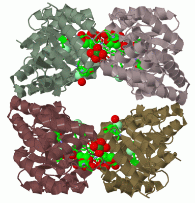 Image Biol.Unit 1 - manually