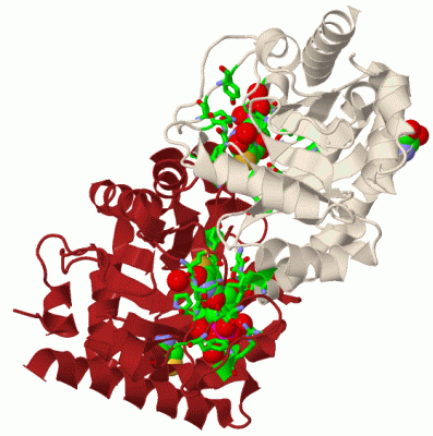 Image Biol.Unit 1 - manually