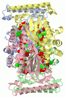 Image Asym./Biol. Unit - manually