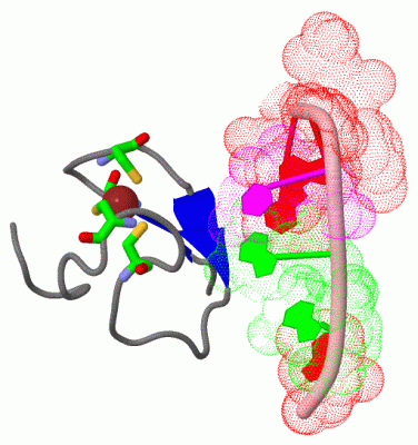 Image Asym./Biol. Unit - manually