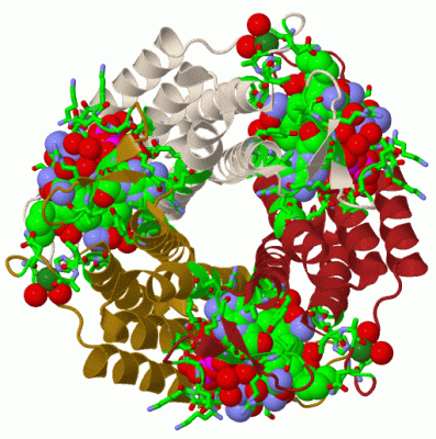 Image Biol.Unit 1 - manually