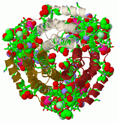 Image Biol.Unit 1 - manually