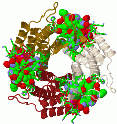 Image Biol.Unit 1 - manually