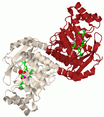 Image Biol.Unit 1 - manually