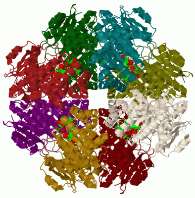 Image Biol.Unit 2 - manually