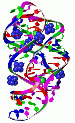 Image Asym./Biol. Unit - manually