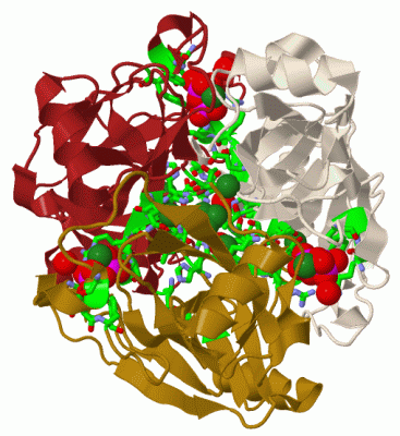 Image Biol.Unit 1 - manually