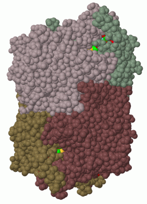 Image Biol.Unit 1 - manually