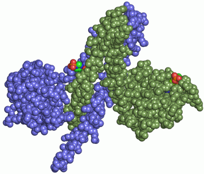 Image Asym./Biol. Unit - manually