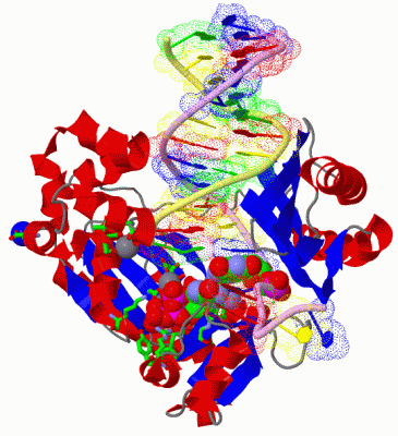 Image Asym./Biol. Unit - manually