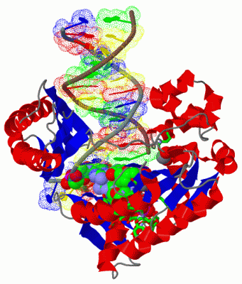 Image Asym./Biol. Unit - manually