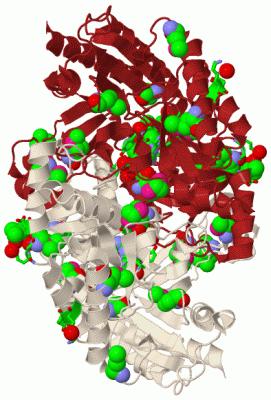 Image Biol.Unit 1 - manually